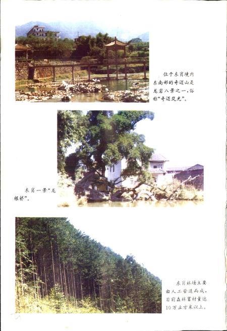 《东肖镇志》.pdf电子版_福建省志插图4