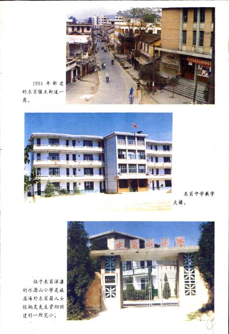 《东肖镇志》.pdf电子版_福建省志插图5