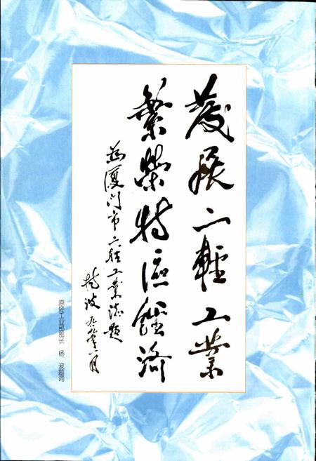 《厦门市二轻工业志》.pdf电子版_福建省志插图4