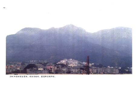 《秀岭村志》.pdf电子版_福建省志插图3