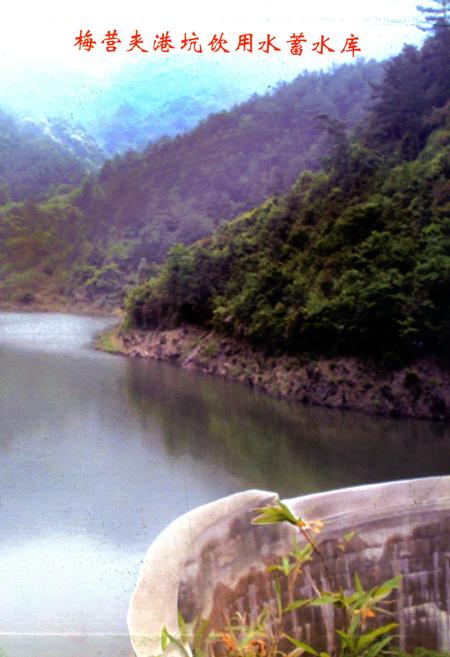 《梅营村志》.pdf电子版_福建省志插图3