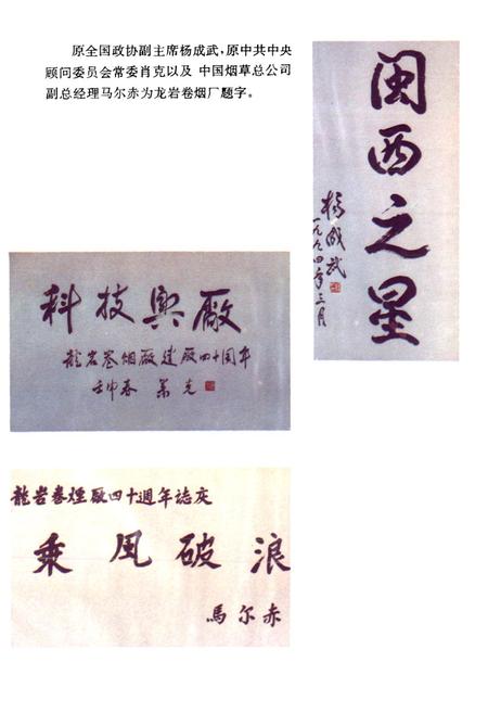 《龙岩卷烟厂厂史》.pdf电子版_福建省志插图3 《龙岩卷烟厂厂史》.pdf电子版_福建省志插图3