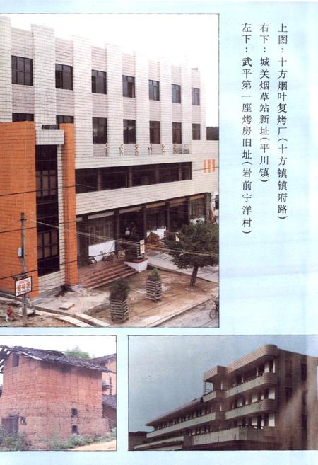 《福建省武平县烟草志》.pdf电子版_福建省志插图3 《福建省武平县烟草志》.pdf电子版_福建省志插图3