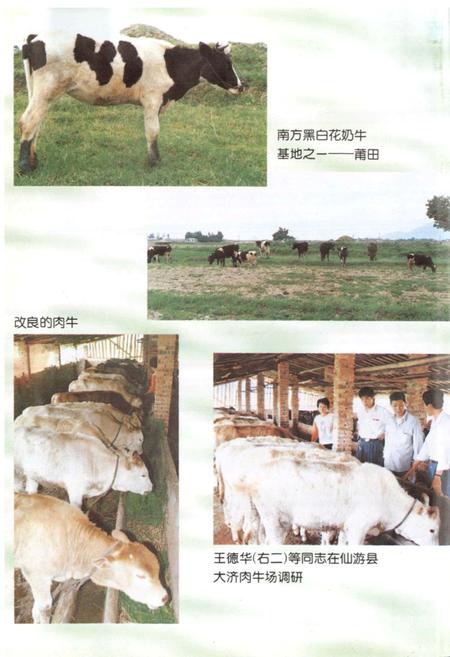 《莆田市畜牧志》.pdf电子版_福建省志插图3