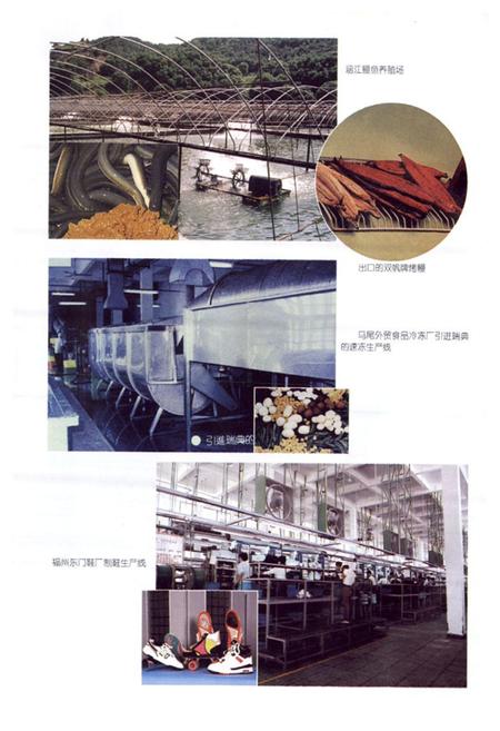 《福建省志·对外经贸志》.pdf电子版_福建省志插图5