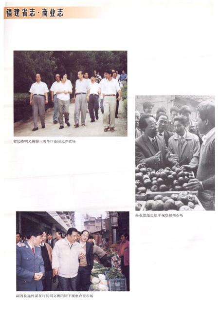 《福建省志·商业志》.pdf电子版_福建省志插图3