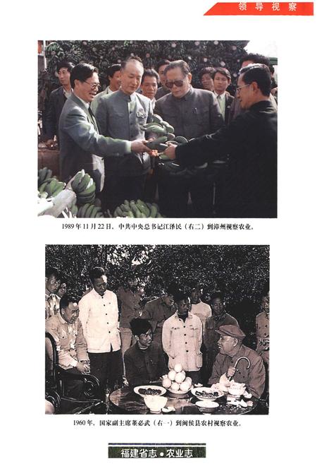 《福建省志·农业志》.pdf电子版_福建省志插图2