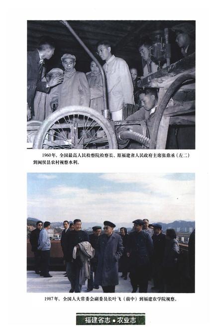 《福建省志·农业志》.pdf电子版_福建省志插图4