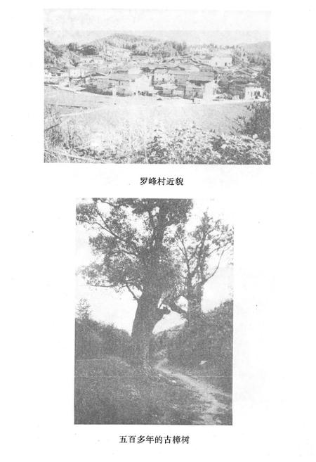 《《罗峰志》》.pdf电子版_福建省志插图3