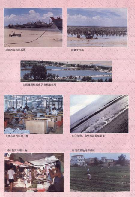 《塘东村志》.pdf电子版_福建省志插图5 《塘东村志》.pdf电子版_福建省志插图5