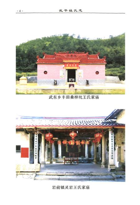 《《武平姓氏志》》.pdf电子版_福建省志插图5
