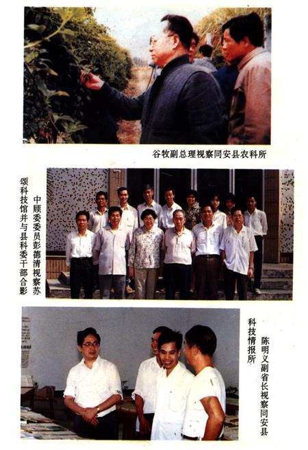 《《同安县科学技术志》》.pdf电子版_福建省志插图2