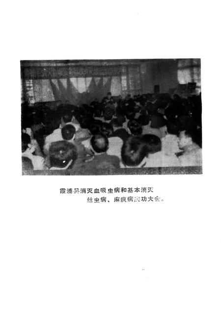 《《霞浦县卫生志》》.pdf电子版_福建省志插图4