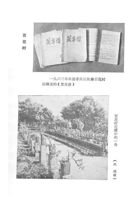 《《龙溪风物志》》.pdf电子版_福建省志插图4