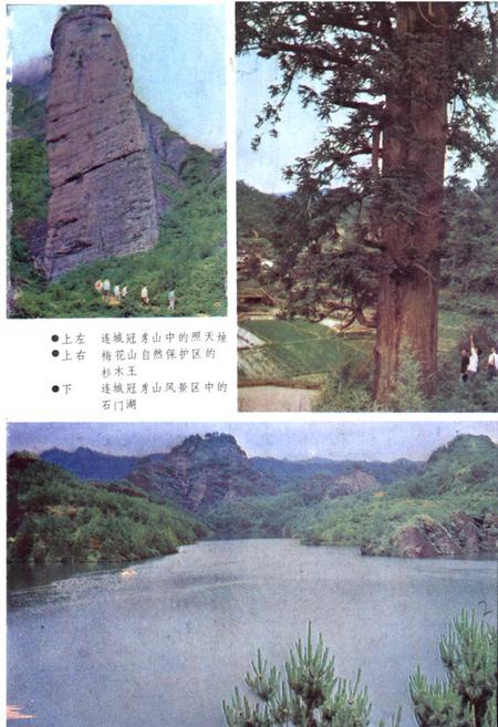 《《闽西风物志》》.pdf电子版_福建省志插图2