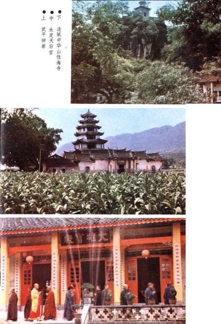 《《闽西风物志》》.pdf电子版_福建省志插图4