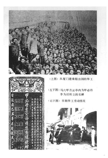 《同安华侨志》.pdf电子版_福建省志插图5