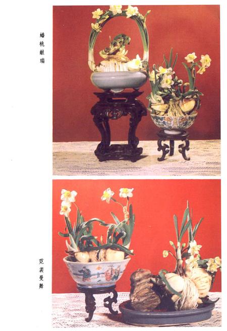 《水仙花志》.pdf电子版_福建省志插图5