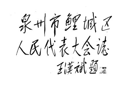 《泉州市鲤城区人民代表大会志》.pdf电子版_福建省志插图2