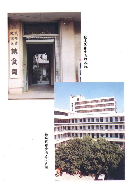 《《鲤城区粮食志》》.pdf电子版_福建省志插图2
