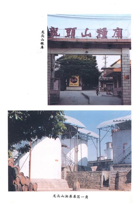 《《鲤城区粮食志》》.pdf电子版_福建省志插图4
