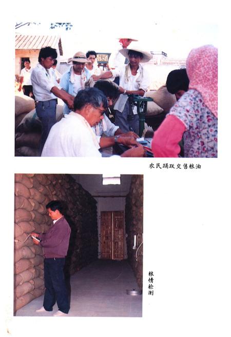 《《鲤城区粮食志》》.pdf电子版_福建省志插图5