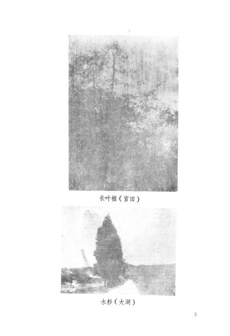 《泰宁县林业志》.pdf电子版_福建省志插图5