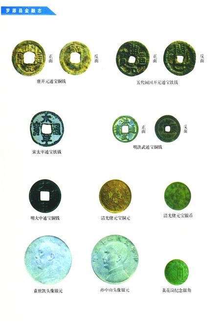 《《罗源县金融志》》.pdf电子版_福建省志预览图4