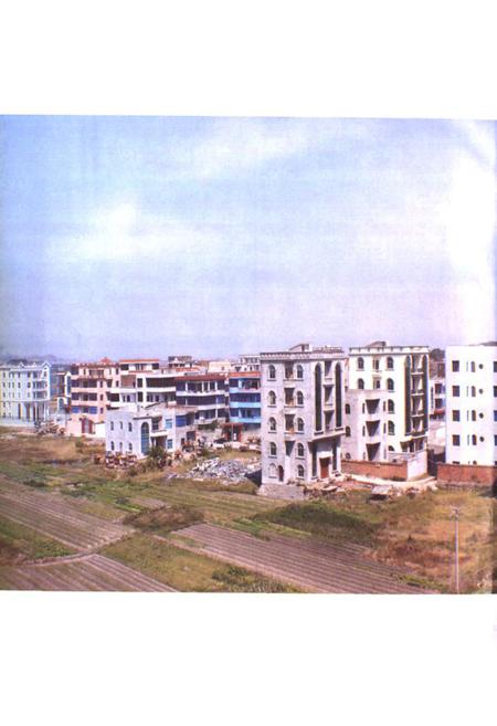 《西河堂九牧文峰后面村林氏谱志》.pdf电子版_福建省志插图3 《西河堂九牧文峰后面村林氏谱志》.pdf电子版_福建省志插图3