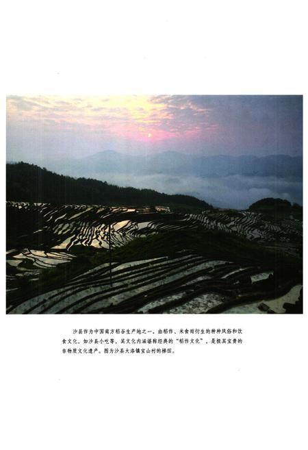 《《沙县非物质文化遗产图志》》.pdf电子版_福建省志插图5 《《沙县非物质文化遗产图志》》.pdf电子版_福建省志插图5