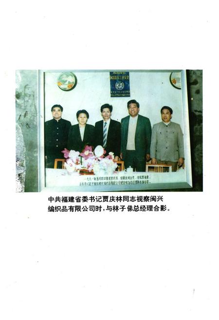 《《闽侯县乡镇企业志》》.pdf电子版_福建省志插图3 《《闽侯县乡镇企业志》》.pdf电子版_福建省志插图3