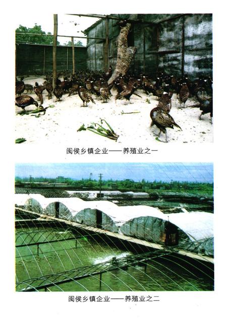 《《闽侯县乡镇企业志》》.pdf电子版_福建省志插图5 《《闽侯县乡镇企业志》》.pdf电子版_福建省志插图5