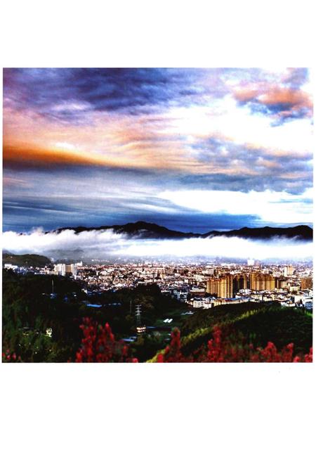 《浦城县志1989-2005》.pdf电子版_福建省志插图3 《浦城县志1989-2005》.pdf电子版_福建省志插图3