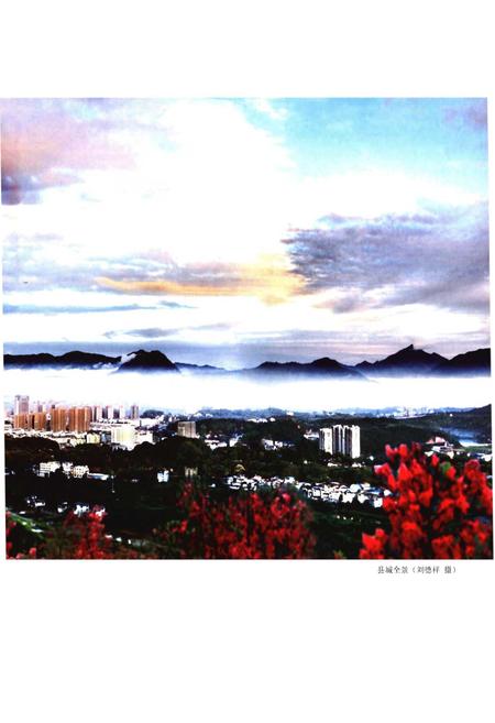 《浦城县志1989-2005》.pdf电子版_福建省志插图4 《浦城县志1989-2005》.pdf电子版_福建省志插图4