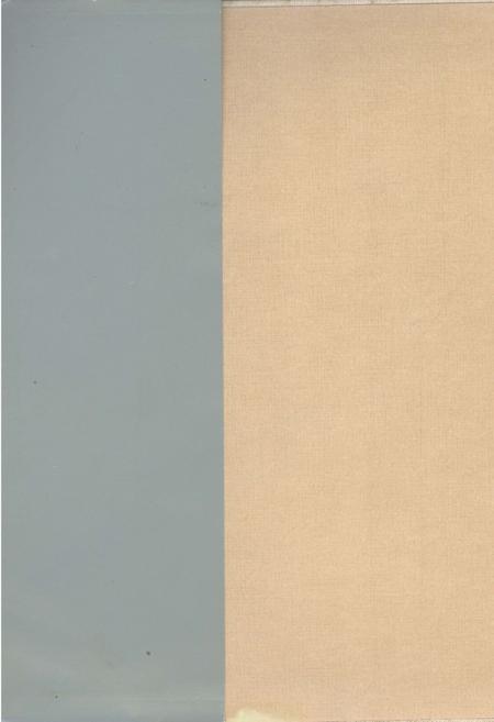 《福建大观 福建文物》.pdf电子版_福建省志插图1