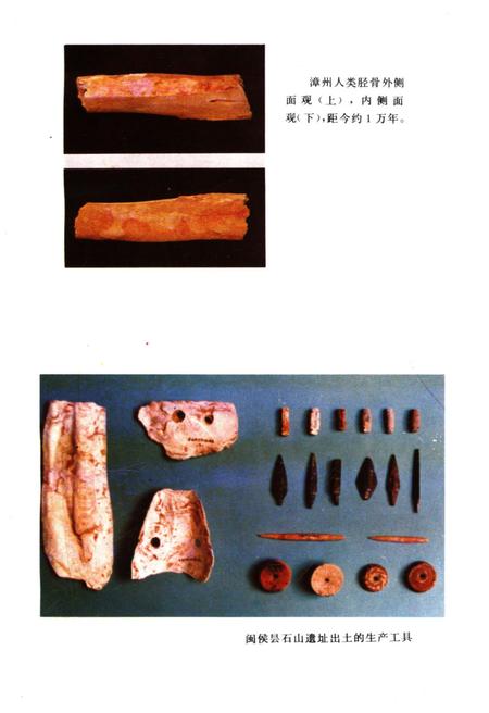 《福建古代经济史》.pdf电子版_福建省志插图3 《福建古代经济史》.pdf电子版_福建省志插图3