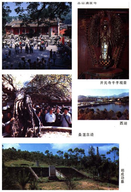 《福建风物志》.pdf电子版_福建省志插图4 《福建风物志》.pdf电子版_福建省志插图4