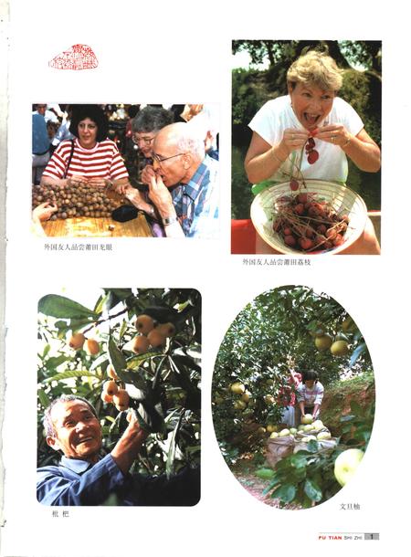 《中华人民共和国地方志 福建省莆田市 第2册》.pdf电子版_福建省志插图1 《中华人民共和国地方志 福建省莆田市 第2册》.pdf电子版_福建省志插图1