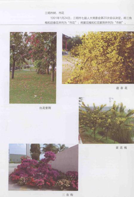 《三明市情概览》.pdf电子版_福建省志插图3