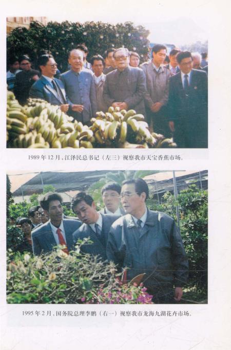 《漳州市工商志》.pdf电子版_福建省志插图4