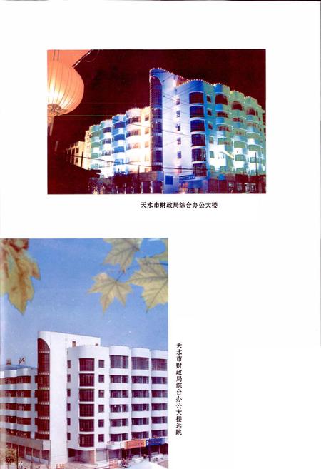 《天水市财政志》.pdf电子版_甘肃省志插图4 《天水市财政志》.pdf电子版_甘肃省志插图4