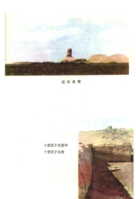 《嘉峪关市文物志》.pdf电子版_甘肃省志插图3