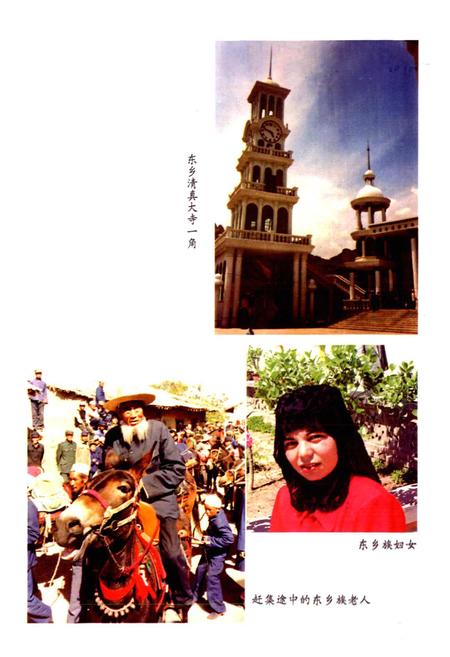 《中国东乡族志》.pdf电子版_甘肃省志插图4 《中国东乡族志》.pdf电子版_甘肃省志插图4