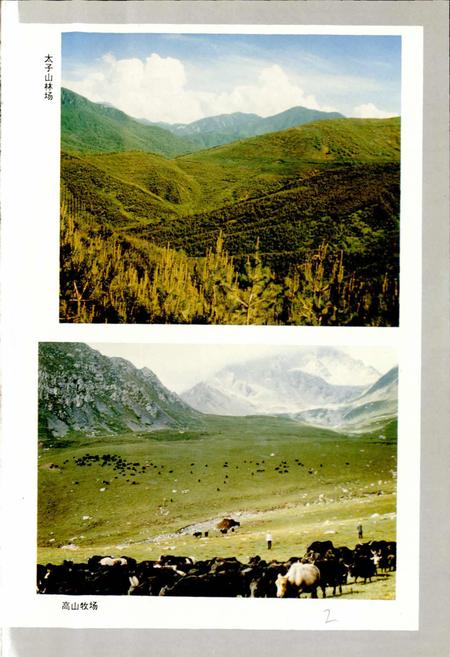 《临夏回族自治州志 下》.pdf电子版_甘肃省志插图2