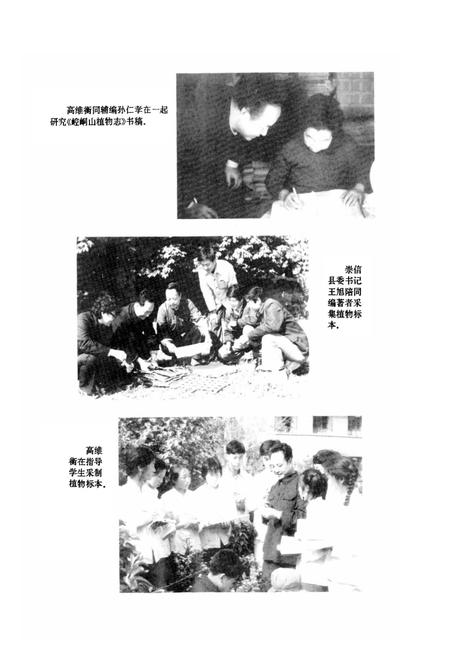 《崆峒山植物志》.pdf电子版_甘肃省志插图3