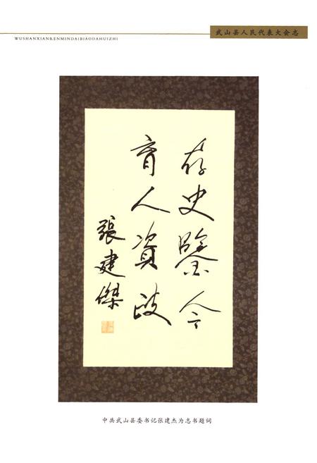 《武山县人民代表大会志》.pdf电子版_甘肃省志插图3