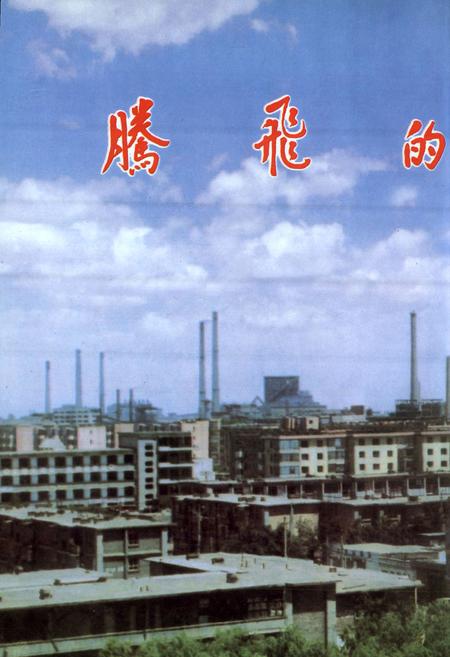 《金川公司电线电缆厂志》.pdf电子版_甘肃省志插图5 《金川公司电线电缆厂志》.pdf电子版_甘肃省志插图5