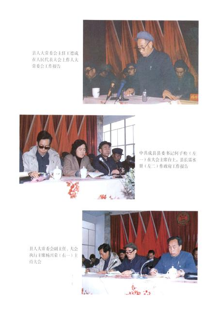 《成县人民代表大会志》.pdf电子版_甘肃省志插图5 《成县人民代表大会志》.pdf电子版_甘肃省志插图5