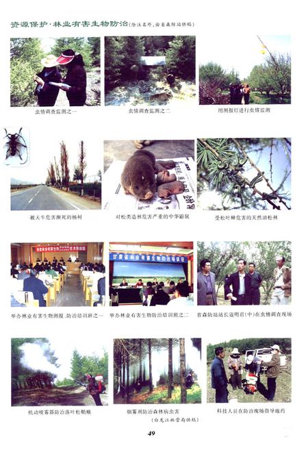 《《甘肃省志·林业志》下册(1986-2005)》.pdf电子版_甘肃省志插图2