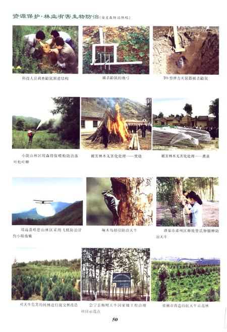 《《甘肃省志·林业志》下册(1986-2005)》.pdf电子版_甘肃省志插图3